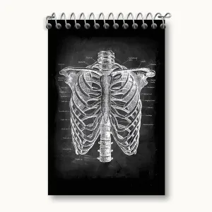 دفتر یادداشت آناتومی قفسه سینه (Rib Cage Anatomy)