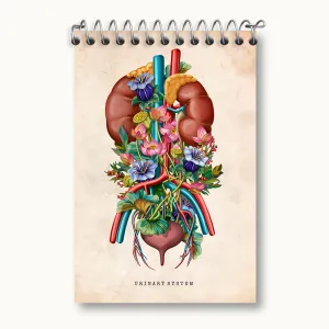 دفتر یادداشت سیستم ادراری (Urinary System)