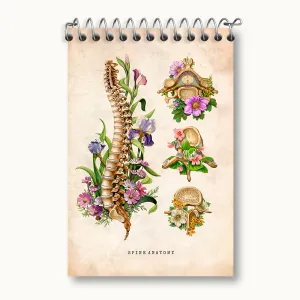 دفتر یادداشت آناتومی ستون فقرات (Spine Anatomy)