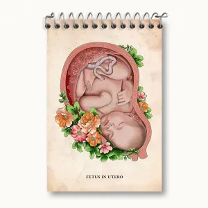 دفتر یادداشت جنین (Fetus In Utero)