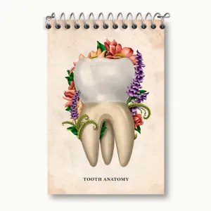 دفتر یادداشت آناتومی دندان (Tooth Anatomy)
