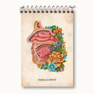 دفتر یادداشت حفره بینی (Nasal Cavity)