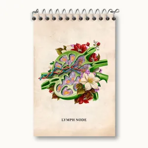 دفتر یادداشت گره لنفاوی (Lymph Node)