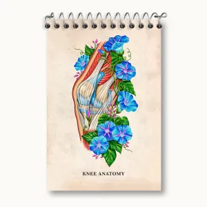 دفتر یادداشت آناتومی زانو (Knee Anatomy)