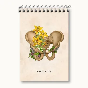 دفتر یادداشت آناتومی لگن (Pelvis Anatomy)