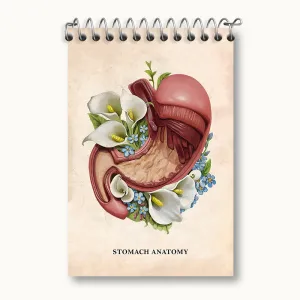 دفتر یادداشت آناتومی معده (Stomach Anatomy)