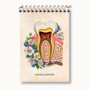 دفتر یادداشت آناتومی دندان (Tooth Anatomy)