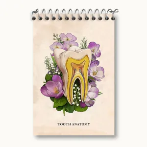 دفتر یادداشت آناتومی دندان (Tooth Anatomy)