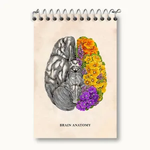 دفتر یادداشت آناتومی مغز (Brain Anatomy)