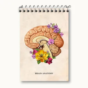 دفتر یادداشت آناتومی مغز (Brain Anatomy)