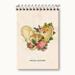 دفتر یادداشت آناتومی لگن (Pelvis Anatomy)