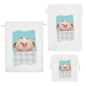 کیسه نظم دهنده گروه موسیقی بلک پینک