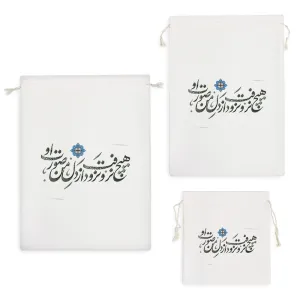 کیسه نظم دهنده هیچ نرفت و نرود از دل من صورت او
