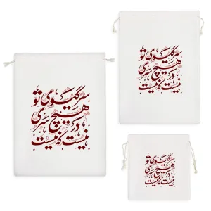کیسه نظم دهنده سر گیسوی تو در هیچ سری نیست که نیست