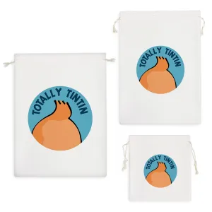 کیسه نظم دهنده ماجراهای تن تن