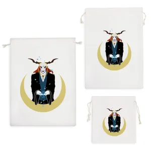 کیسه نظم دهنده الیاس اینسورث