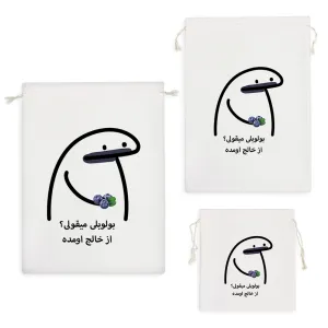 کیسه نظم دهنده بولوبلی میقولی؟