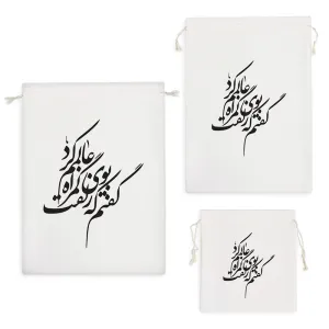 کیسه نظم دهنده گفتم که بوی زلفت گمراه عالمم کرد