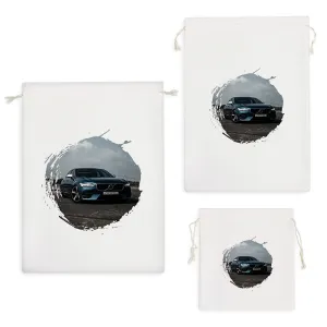 کیسه نظم دهنده ماشین car
