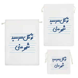 کیسه نظم دهنده تو گل سرسبد شهر منی