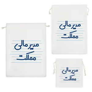 کیسه نظم دهنده مدیر مالی مملکت