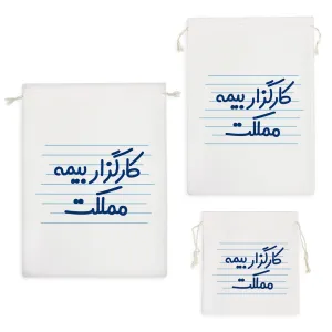 کیسه نظم دهنده کارگزار بیمه مملکت