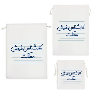 کیسه نظم دهنده کارشناس فروش مملکت