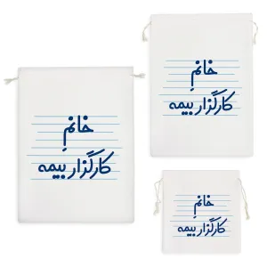 کیسه نظم دهنده خانم کارگزار بیمه
