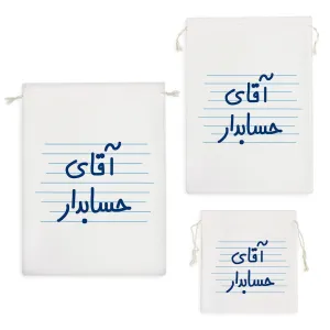 کیسه نظم دهنده آقای حسابدار
