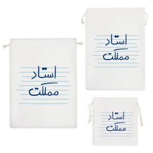 کیسه نظم دهنده استاد مملکت