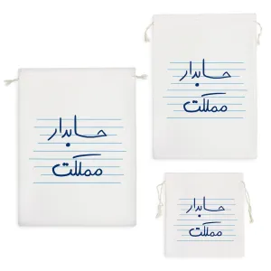 کیسه نظم دهنده حسابدار مملکت