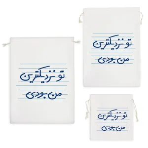 کیسه نظم دهنده تو نزدیکترین من بودی
