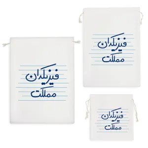 کیسه نظم دهنده فیزیکدان مملکت