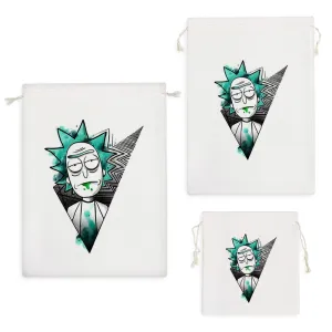 کیسه نظم دهنده ریک و مورتی