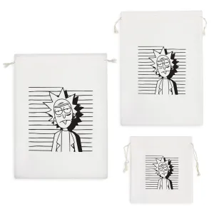 کیسه نظم دهنده ریک و مورتی