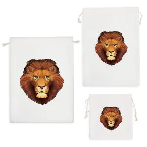 کیسه نظم دهنده شیرشاه