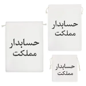 کیسه نظم دهنده حسابدار مملکت