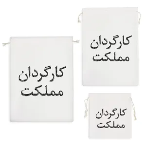 کیسه نظم دهنده کارگردان مملکت