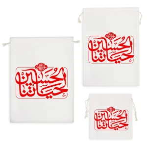 کیسه نظم دهنده حسین حیاتنا