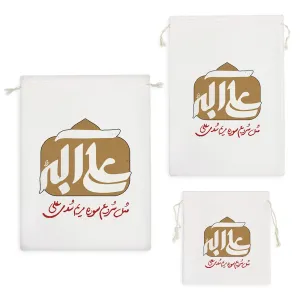 کیسه نظم دهنده حضرت علی اکبر