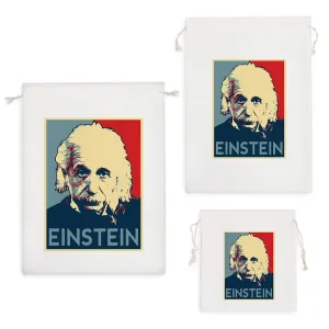 کیسه نظم دهنده آلبرت اینشتین