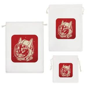 کیسه نظم دهنده گربه فضانورد