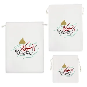 کیسه نظم دهنده با نسیم کربلا کی زنده میسازی مرا؟