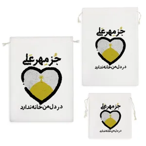 کیسه نظم دهنده جز مهر علی در دل من خانه ندارد