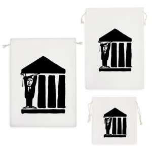 کیسه نظم دهنده دانشجو و دانشگاه