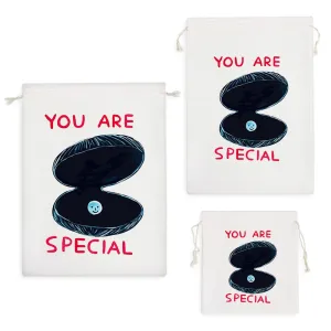 کیسه نظم دهنده تو خیلی خاصی