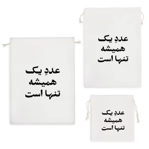 کیسه نظم دهنده عدد یک همیشه تنها است