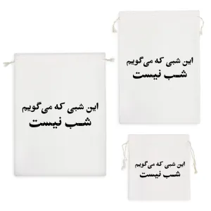 کیسه نظم دهنده این شبی که می گویم شب نیست