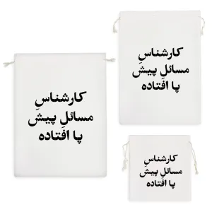 کیسه نظم دهنده کارشناس مسائل پیش پا افتاده