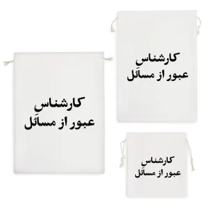 کیسه نظم دهنده کارشناس عبور از مسائل